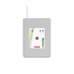 Radiolinia inMASTER